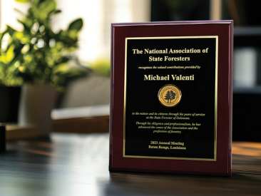 Mahogany-finish award plaque with black and gold engraving, honoring Michael Valenti from the National Association of State Foresters. Displayed upright on a sunlit desk with blurred background.