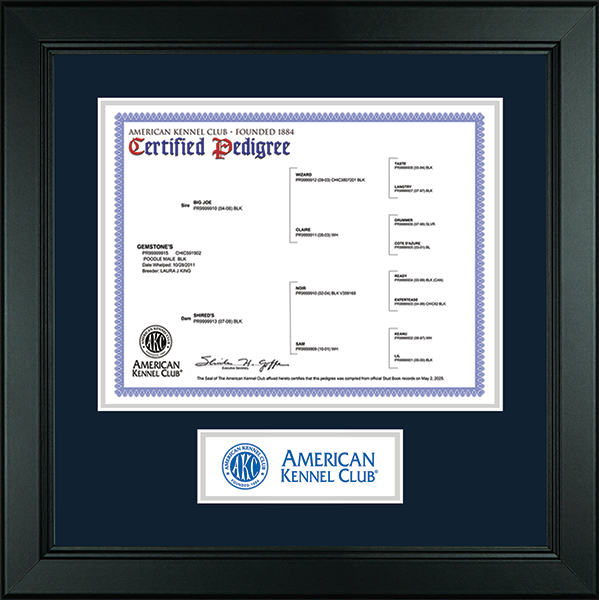 AKC Certification Pedigree Frames Church Hill Classics