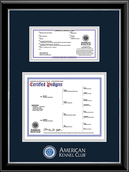 AKC Certification Pedigree Frames Church Hill Classics
