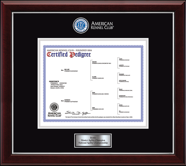 Kennel Club Fci Pedigree Dog Registration Form Akc Microchip