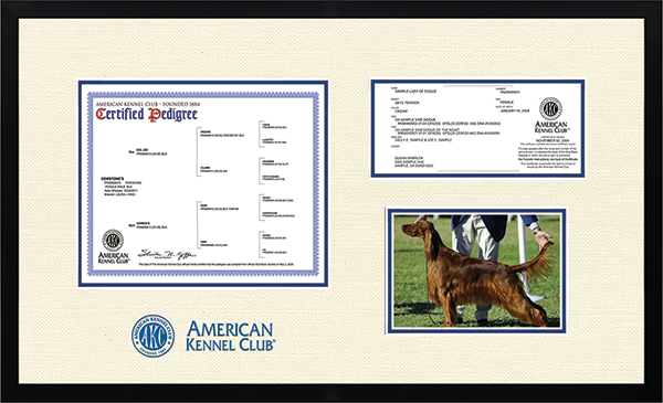 Akc Pedigree Find An Akc Registered Dog Akc Registration