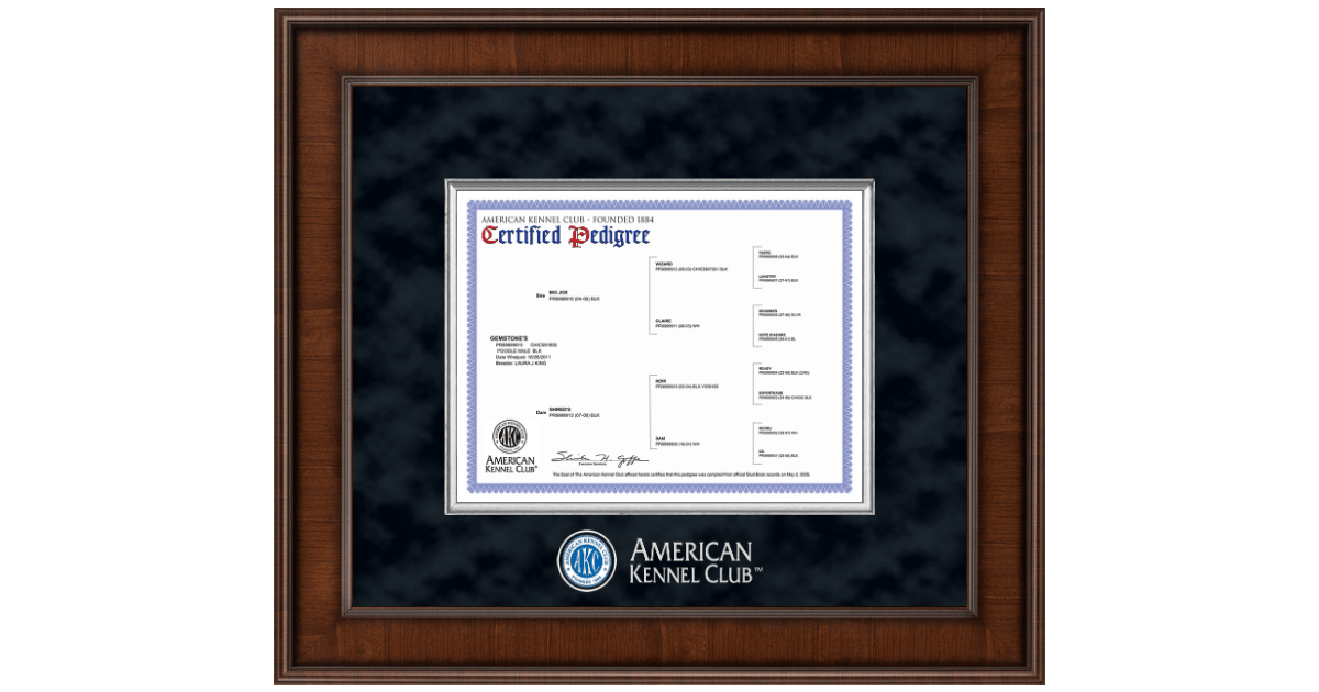 Certified Pedigree Akc Registered Dogs Certificate Akc Register - Main Image